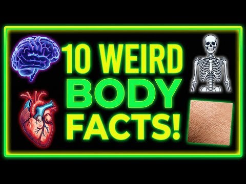 10 Weird Human Body Facts That Will Blow Your Mind!