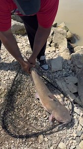 This Channel Cat Is A Unit! #fishing | Everett Mathis Jr.