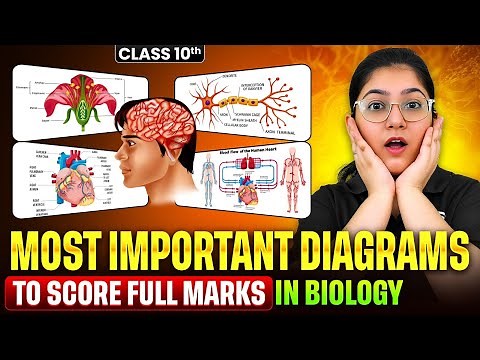 Most Important Diagrams Class10 Science Biology 🚨Must Watch to score full marks 🔥 | CBSE 2026 Boards