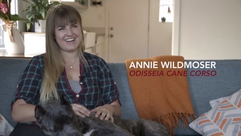 All about living with Cane Corso