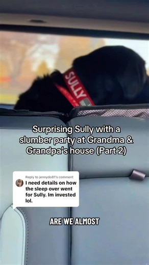 Immediately excited to see his Aunt Carly and baby Honey 😂🍯❤️ I felt bad he couldn’t run errands with us but I knew he’d love time with Grandma! #dogsofinstagram #labrador #funnyanimals | Sully the Black Lab