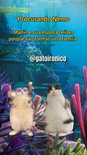 Resumo do Filme Procurando Nemo