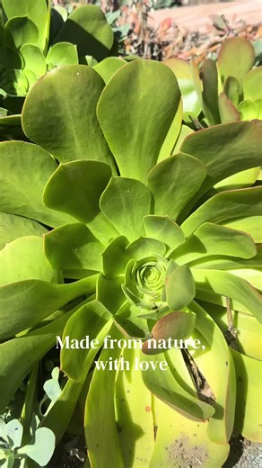 We love our new detox tea! Free shipping plus 20% off this weekend only!