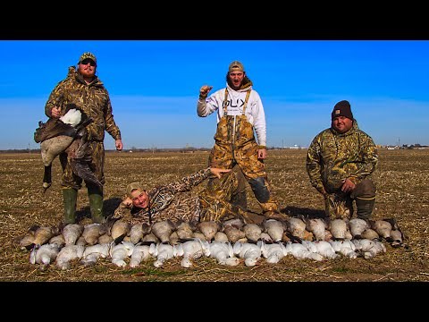 MOST BIRDS I've ever seen ( Goose hunting with Bobby Guy at Sandhill Flyway ) part 3