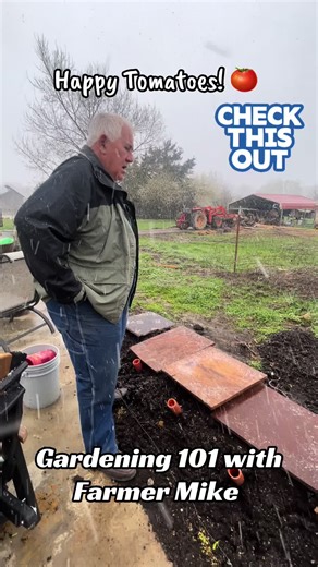 72° yesterday 37° today we have snow ! We also have warm happy tomatoes , we appreciate y’all , early ##tomatoes ##snow##gardening