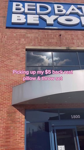 Bed Bath and Beyond $5 Back Rest Pillow & Throw Set Haul