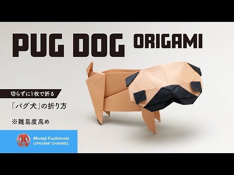 「折り紙」パグ犬（PUG DOG origami）の折り方
