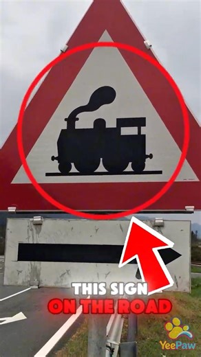SEE THIS? SLOW DOWN NOW!🚆
