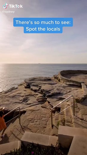 Bondi to Bronte Coastal Walk - Sydney's Best Coastal Trail