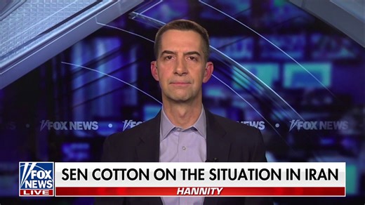 Sometimes military force is 'vital to achieve national interests': Sen. Tom Cotton