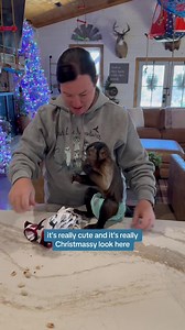 744K views · 35K reactions | Why does Bear never wear clothes?? 藍 | Our Life Adventures | Facebook