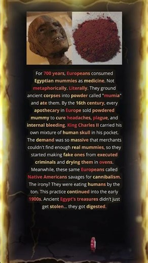 You Were Never Taught This European History