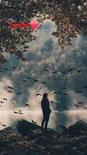 beautiful what's status ❤️#whatsappstatus #status #ytshorts