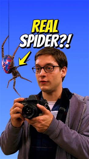 The Spider That Bit Peter Parker Was Real