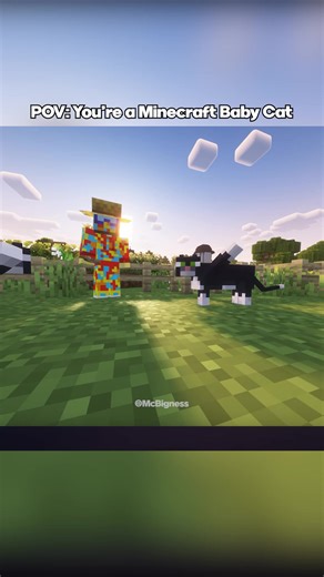 Experience Life as a Minecraft Baby Cat