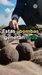 1.5M views · 15K shares | En vez de destruir, estas bombas se encargan de dar una esperanza de vida. | Ecoosfera | Facebook