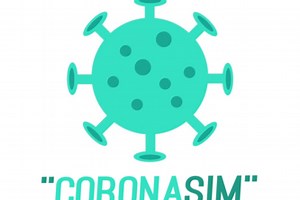 CoronaSim