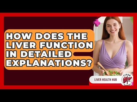 How Does the Liver Function in Detailed Explanations? | Liver Health Hub News