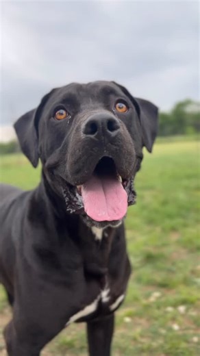 264 reactions · 71 shares | Happy Star Wars Day from Vader! There’s...