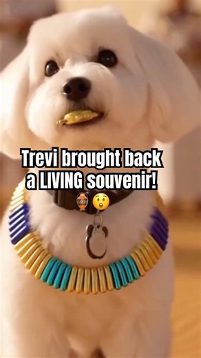 Dog Time‑Machine to Ancient Egypt! 🏺😲 🐶🔱 #shorts #mydogtrevi