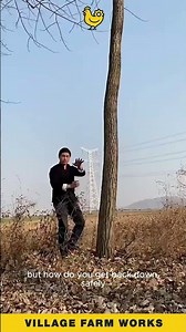 Boot Tree Spikes 🧗 Climb A Trunk In Seconds #TreeClimbing