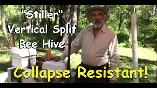 Stiller Carbonaria vertical split collapse resistant brood box for native bees