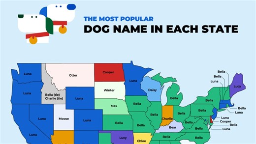 These dog breeds are most popular in every state—see California’s pick