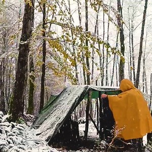 85K views · 1.8K reactions | Snowy winter bushcraft camping Campfire and Survival Skills Wood stove for a warm shelter | Forest Expanses | Facebook