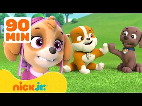 90 Minutes of PAW Patrol Pups Being BEST Friends! 🐶 ft. Skye, Zuma, and Rubble | Nick Jr.