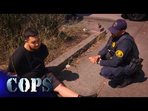 Puppy Protectors, Show 3721, Cops TV Show