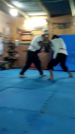 Exploring the Art of Wushu Kung Fu