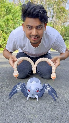 2 Ta Rc Snake And Remote Wala Spider Unboxing Deko😛