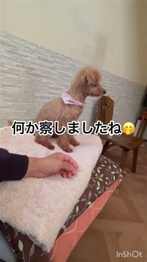 カヌちゃん大好物に気付いた瞬間!!笑