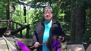 5.7K views · 41 reactions | FLYLADY Complete Cleaning System! Save...