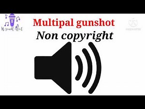 multiple gunshot sound effect