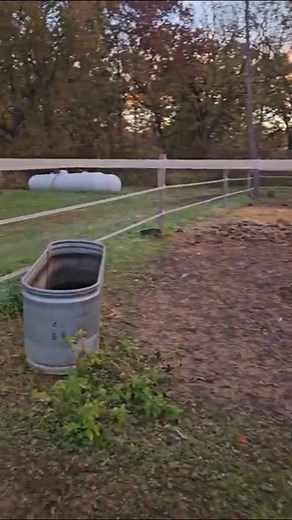 #barnbesties #backhoe #pipe #projects #nextproject #hose #construction #automaticwaterers #hose 🚜 🪛 Project time!! 🔨 🚜 Summer of 2025 is a really busy season for Barn Bestie Megan at her farm Lindinhof! There have been some opportunities and some massive rain storms, so the team is taking the time to get some big projects done around the farm! But first, we have to open up all the fence lines do the equipment can get to work. | Barn Besties