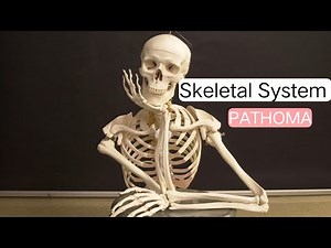 Skeletal System PATHOMA 2 | Bone Tumors, Joint