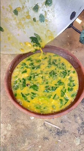 🌿 Delicious Lentil Curry with Drumstick Leaves | Perfect with Hot Steamed Rice 🍲 #LentilCurry