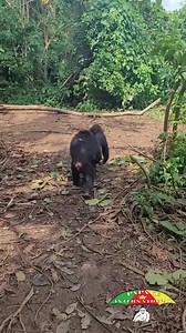 508K views · 8.3K reactions | Je ne sais pas pour vous, mais nous, on...