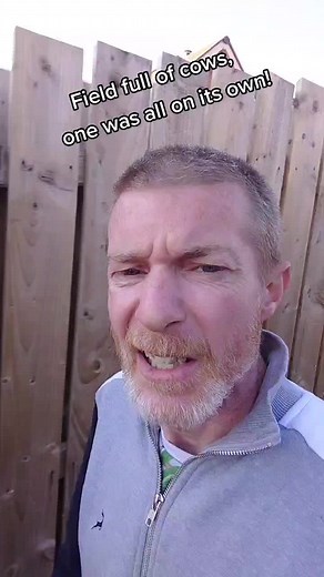Stephen Clarke on TikTok