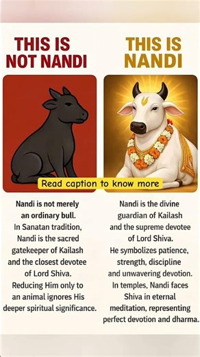 Nandi Is Not Just a Bull 😳 | The Real Truth #nandi #shivji
