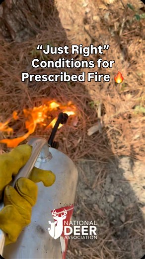 National Deer Association on Instagram: "Prescribed fire is a fantastic deer habitat management tool, and nothing is more important when using it than ensuring a safe, effective and contained burn. By planning and waiting to burn under the right weather conditions, you’ll achieve desirable habitat benefits while avoiding undesirable outcomes like escaped fire, timber damage, or smoke problems. You can have too little or too much wind. The fuel can be too wet or too dry. You also need to choose c