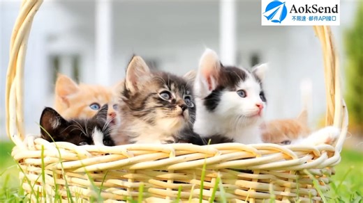 邮件发送失败SPF报错问题排查解决的方法？ 邮件SPF报错排查攻略！如何解决邮件SPF验证失败问题？