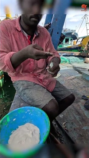 Inshore Mullet Fishing Watch This Hook Up! #fishing #fishingvideo #fishingtime