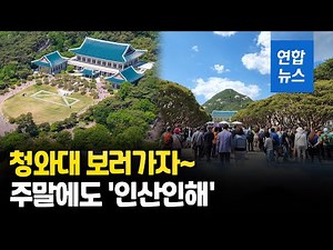 이제는 서울 대표 관광명소…청와대서 만끽하는 봄날 주말 / 연합뉴스 (Yonhapnews)