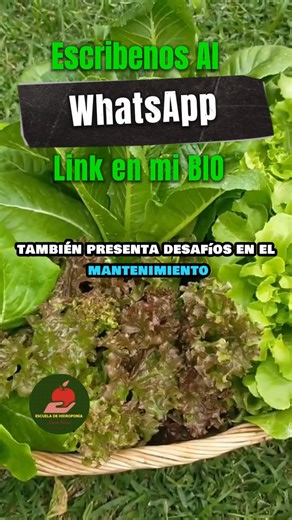 Sistema Hidroponico Vertical . Beneficios #hidroponia #hidroponiamexico #hidroponiacolombia #huertourbano #hidroponiadesdecero #hidroponiaencasa #huertoencasa #hidroponiamexico #agricultura #huertourbano #hidroponia #hidroponiacolombia #EEUU #agriculturaorganica #HIDROPONIA #huertohidropónico #agricultura | Cult. Hidroponico | Facebook