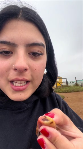 Probando Frutilla de Mar en Punta de Lobos