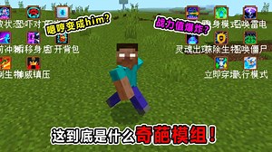 这又是什么奇葩模组啊？变成him？战力爆炸？