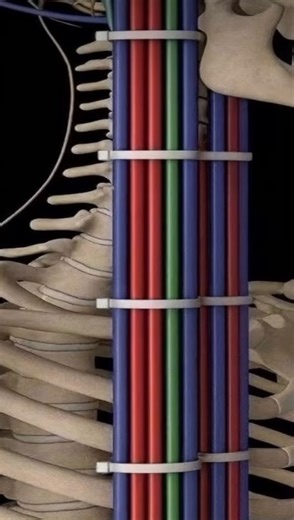 3.9K views · 3.6K reactions | Can’t speak for Tylenol but we got the cure to anxiety. Call us | Skylark Audio Video | Facebook