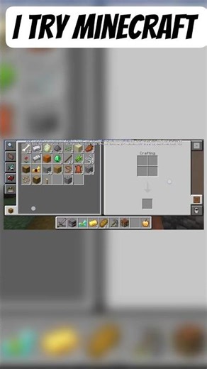 I try Minecraft first time